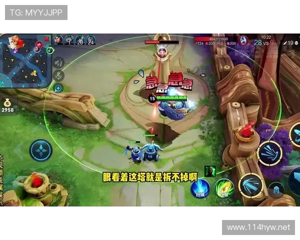 真正的游戏王者荣耀表情包大全 带你领略最真实的游戏精彩瞬间